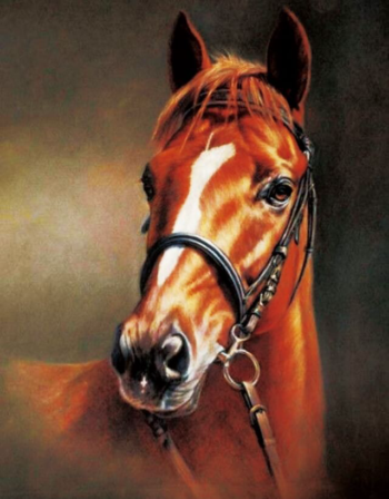 Алмазная живопись LG014 "Каштановая лошадь"