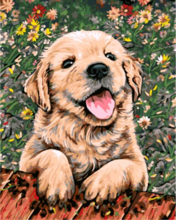 Картина по номерам GX5607 "Веселый щенок"