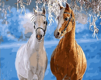 Картина по номерам GX31608 "Парочка лошадей"