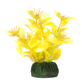 Растение - Людвигия ярко-желтая (10см)