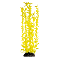 Растение - Людвигия ярко-желтая (40см) - 0