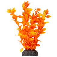 Растение - Людвигия ярко-оранжевая (20см) - 0