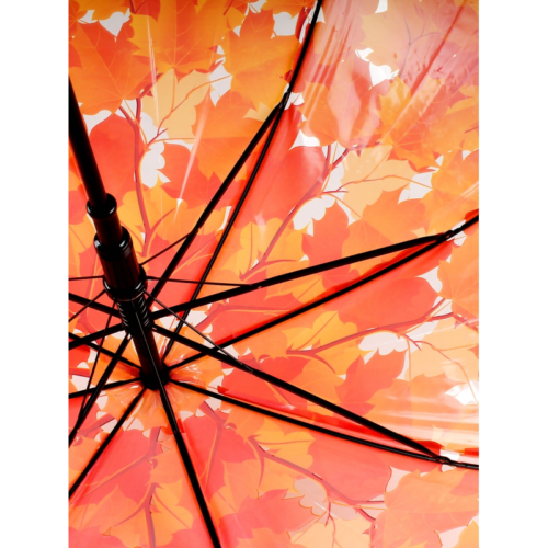 Зонт - Листья красные - 5