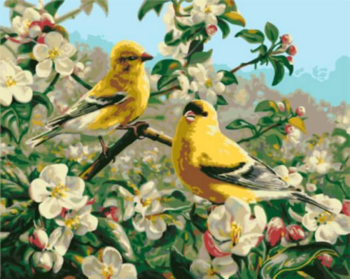 Картина по номерам GX8476 "Желтые птички" - 0