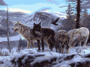Картина по номерам EX5806 "Волчья стая на скале"