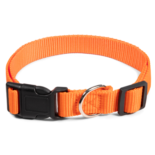 Ошейник нейлоновый для собак "Эталон" XL, оранжевый, 25*400-650мм - 0