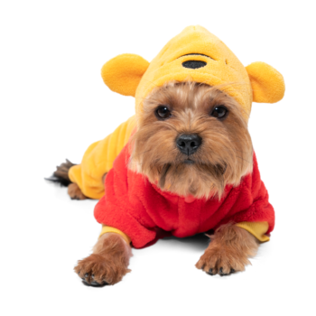 Костюм демисезонный Disney Fun Winnie-the-Pooh XS, размер 20см