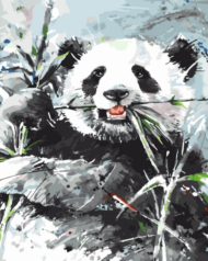 Картина по номерам GX8222 "Панда в траве" - 0