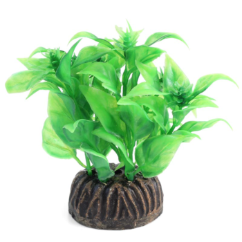 Растение - Альтернантера зеленая (8см)