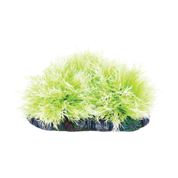Растение 09001Q с распылителем - Куст светло-зеленый (17см х 7см х 8см)