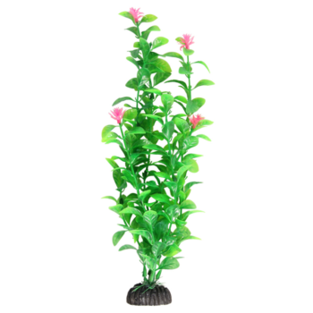 Растение 1041LD - Незея цветущая (30см)