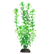 Растение 1050LD - Гемиантус зеленый (40см) - 0