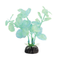 Растение 1119LD светящееся - Щитолистник зеленый (10см) - 0