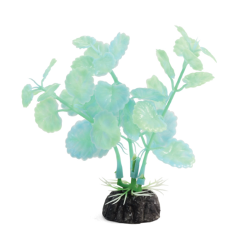 Растение 1119LD светящееся - Щитолистник зеленый (10см)