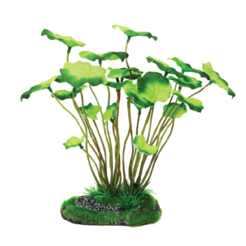 Растение 25026EO - Нимфея зеленая (25см)