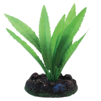 Растение шелковое - Апоногетон (13см)