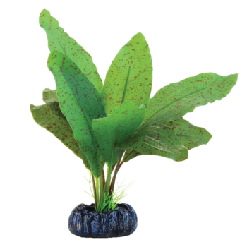 Растение шелковое - Эхинодорус крапчатый (20см)
