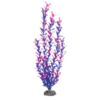 Растение - Людвигия фиолетовая (40см)