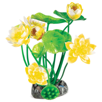 Растение 20153 - Нимфея Желтая (20см)