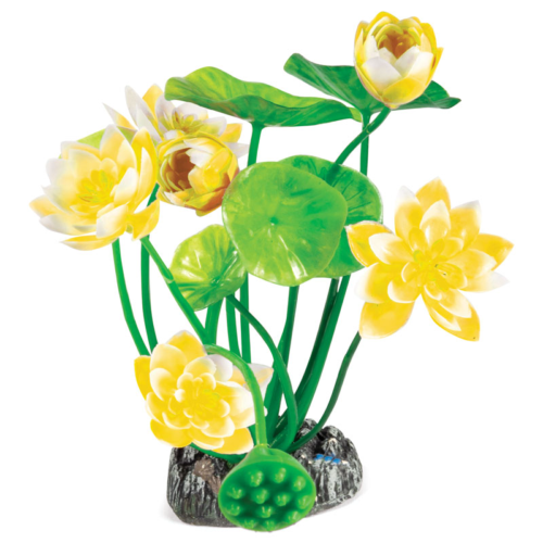 Растение 20153 - Нимфея Желтая (20см) - 0