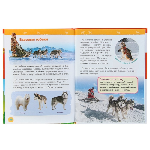 Энциклопедия для детского сада - Собаки и щенки - 1