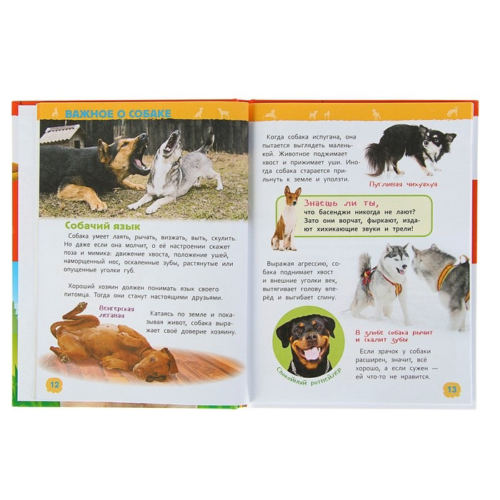 Энциклопедия для детского сада - Собаки и щенки - 2