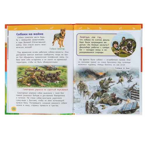 Энциклопедия для детского сада - Собаки и щенки - 3