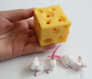 Игрушка-антистресс "Мышка с куском сыра", тянучка - 2