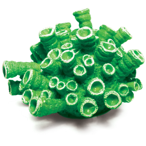 Коралл искусственный - Эусмилия зеленая (9,5см х 9,5см х 5,5см) - 0
