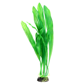 Растение - Сагиттария зеленая (30см)