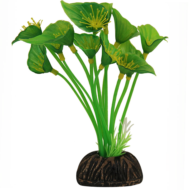 Растение 1304 - Спатифиллум зеленый (10см) - 0