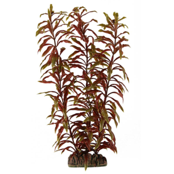 Растение - Альтернатера коричневая (30см)