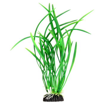 Растение - Бликса зеленая (20см)